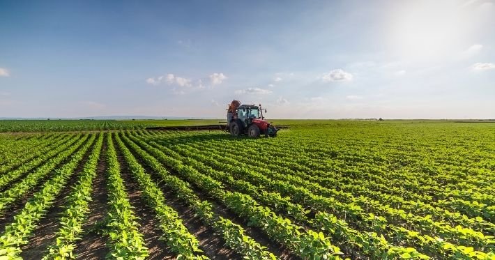 Seguros para Agronegócios
