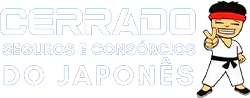 Seguro Obras de Artes